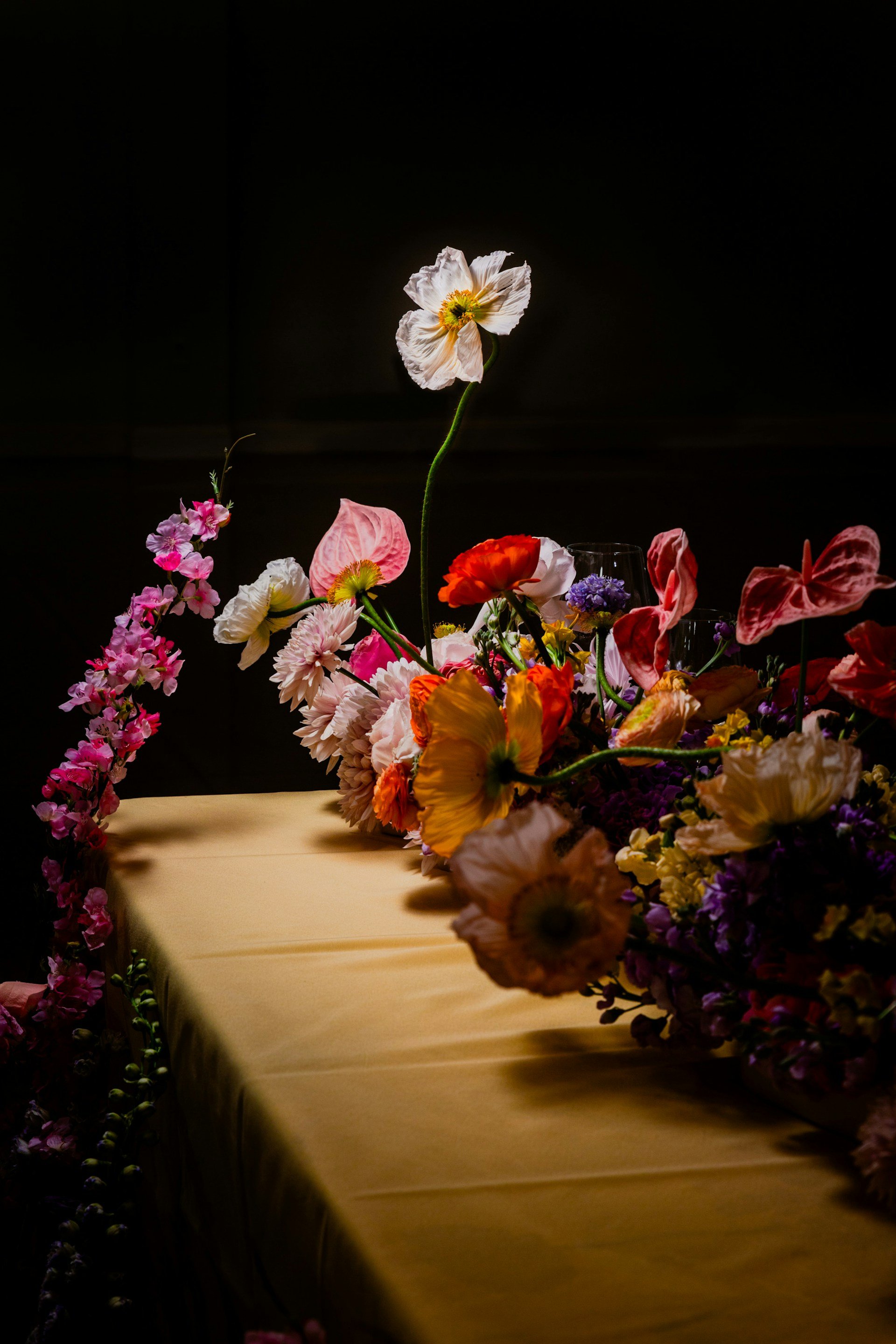 Norr Mälarstrands Blommor