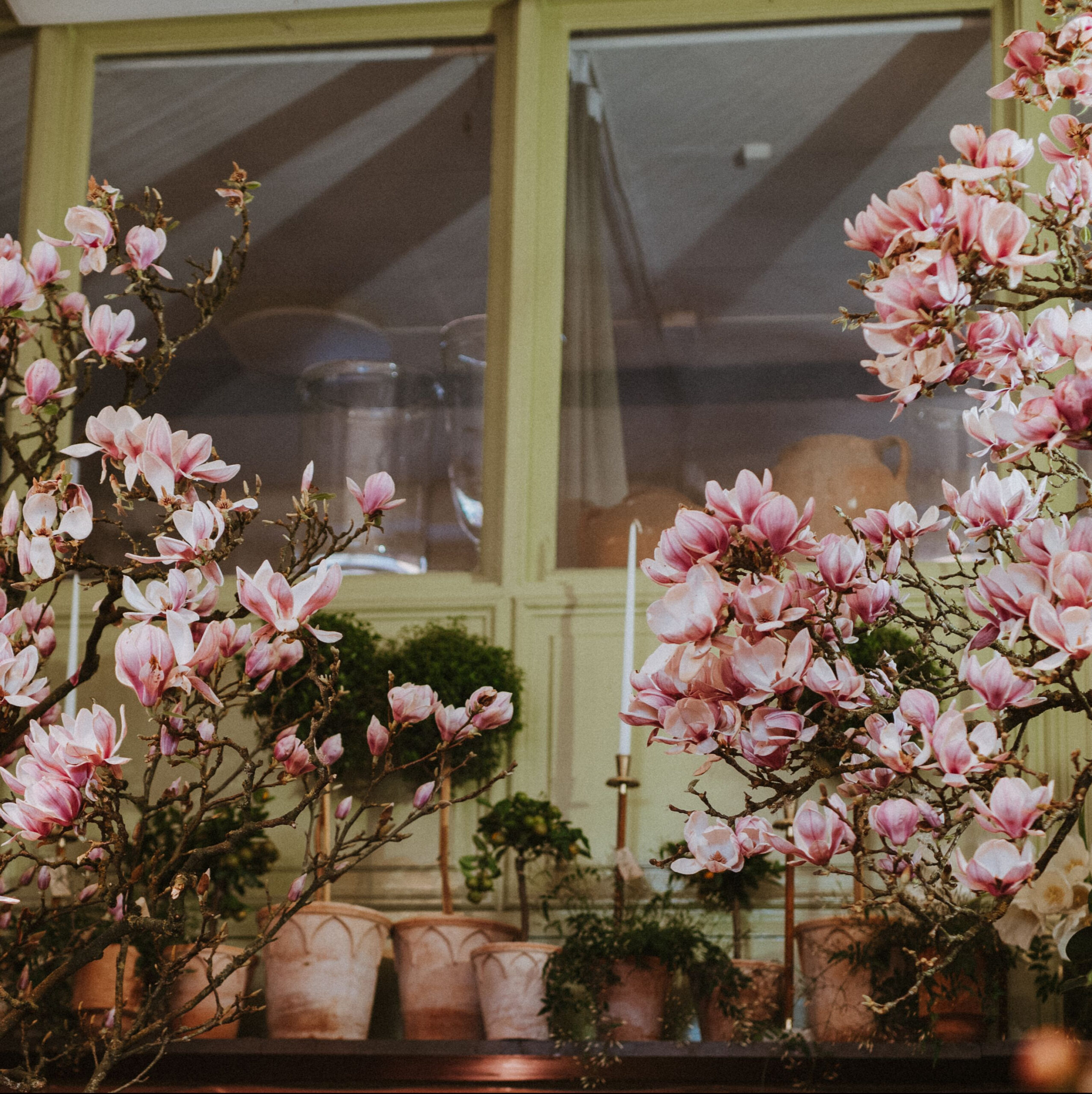 Bruun Blommor