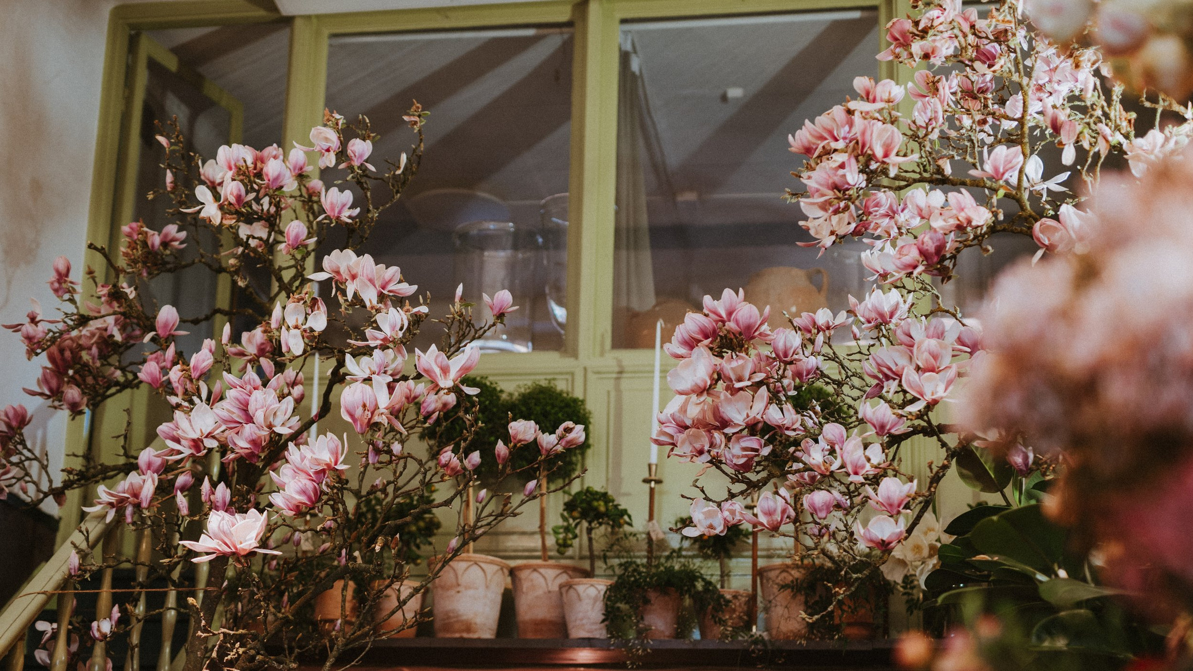 Bruun Blommor