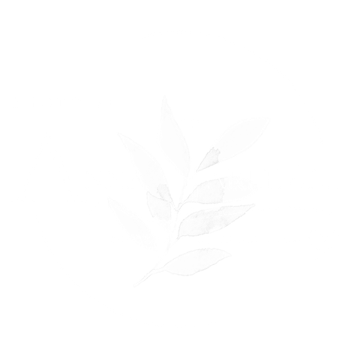 Anna Jarlhäll Photography