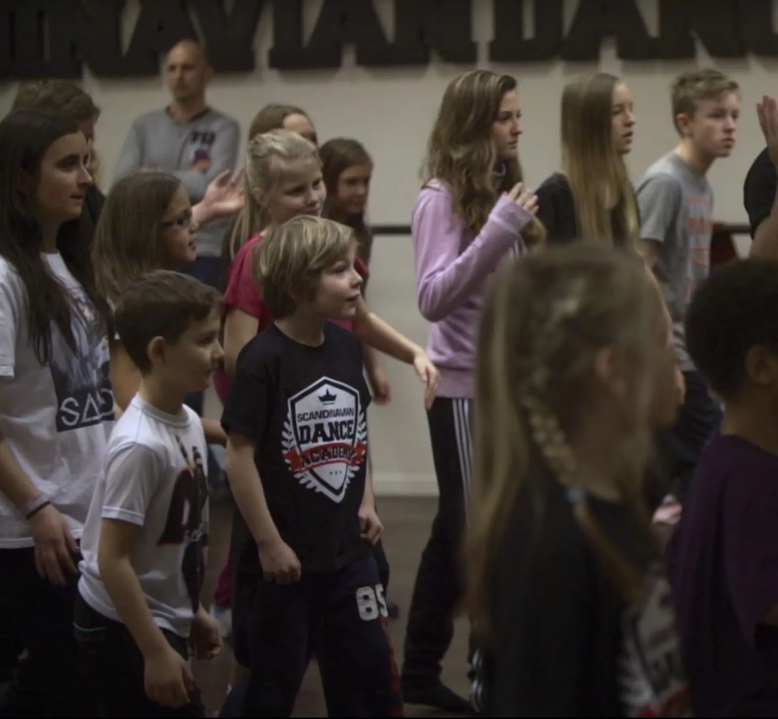 Scandinavian Dance Academy