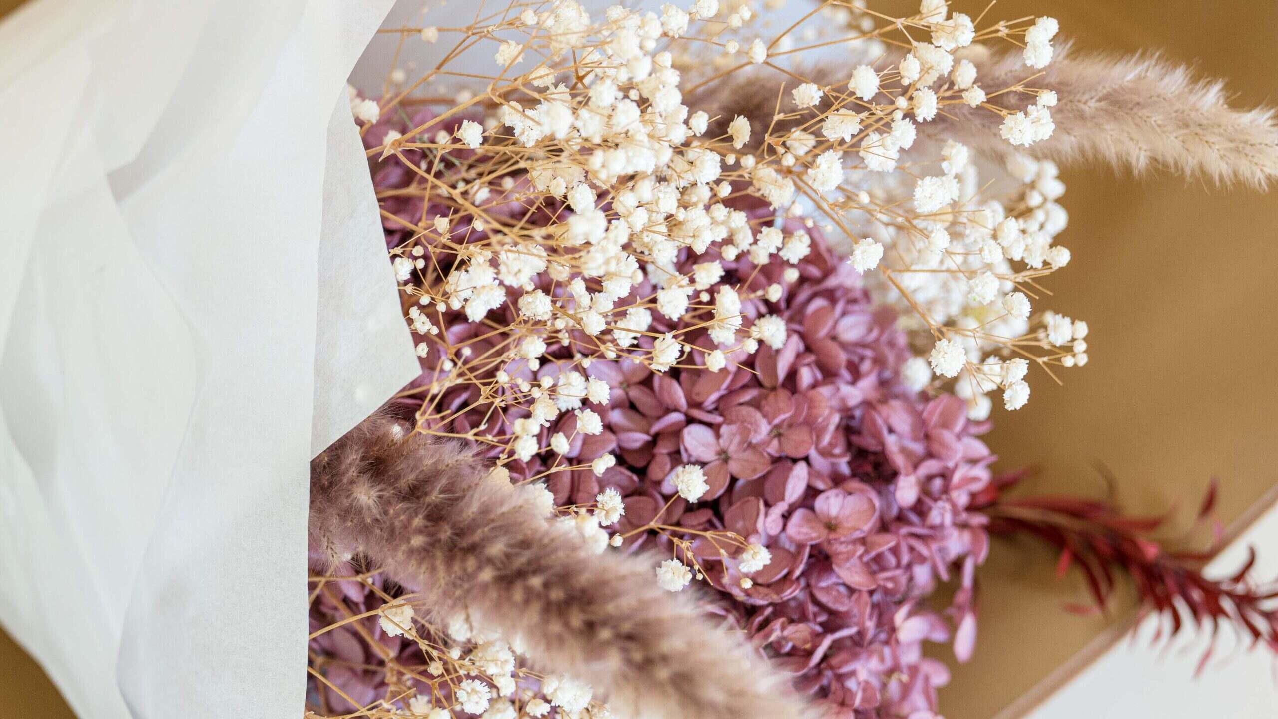 Softdream Flora & Art