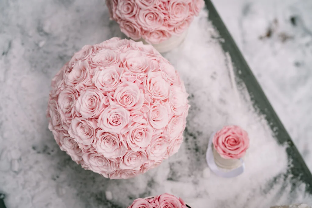 Softdream Flora & Art