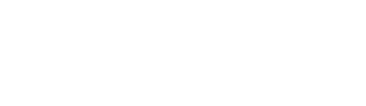 Partyexpressen