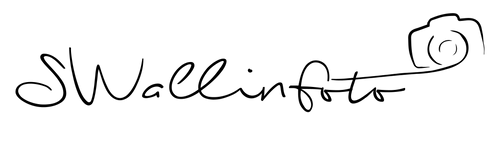 SWallinfoto
